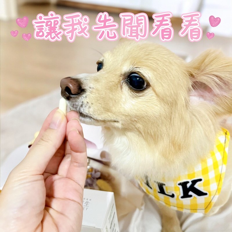試用